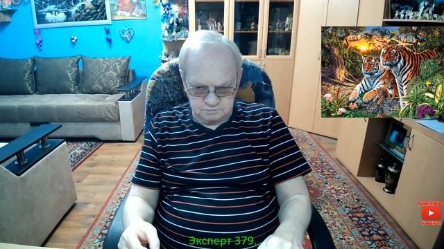 Эксперт 379. смотреть онлайн