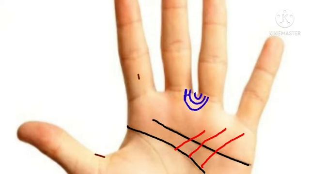 BUSINESS MONEY LINES смотреть онлайн