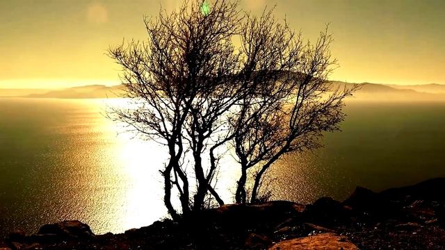 Rome Series: 1 - The Wolf And The Twins: The Birth Of Romulus And Remus | Wars, Desires & Much More