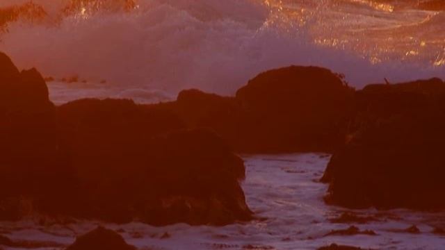 Neptune: Healing The Waters exercise 06/01/10 Pt-1/2 смотреть онлайн