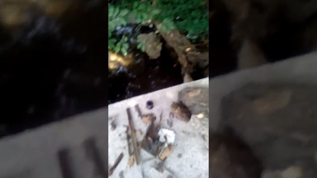 Без поискового магнита смотреть онлайн