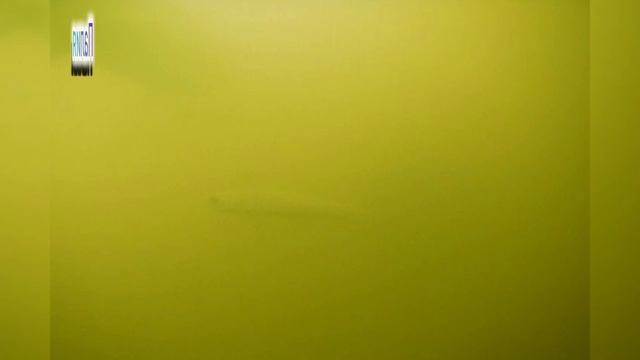 Палия, голец, форель. Реакция на раттлины. смотреть онлайн