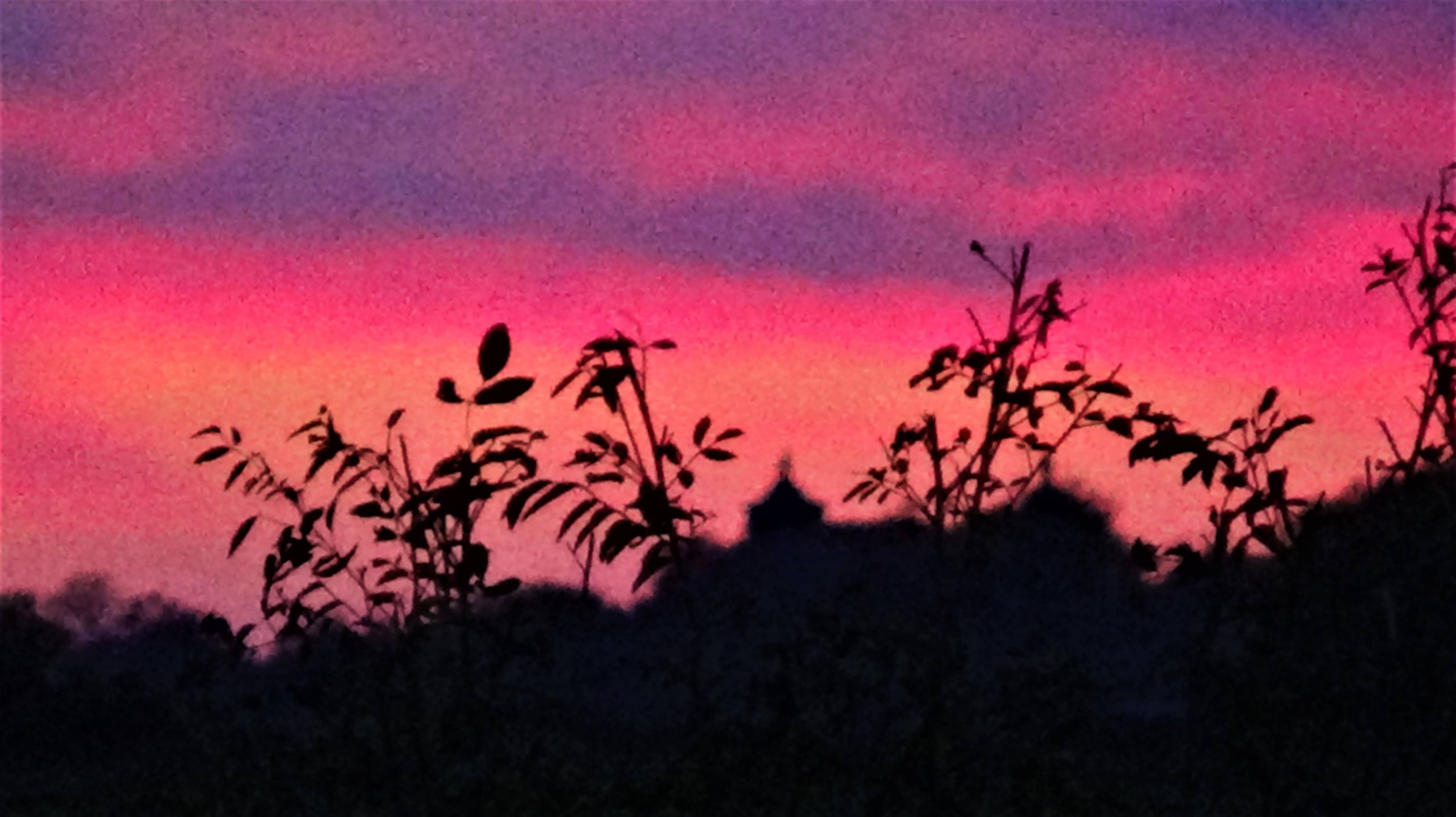 Фотопейзажи Астраханской области (осень 2022) смотреть онлайн