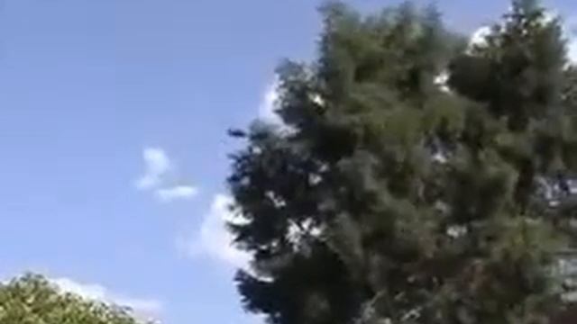 Большое количество НЛО Они везде смотреть онлайн
