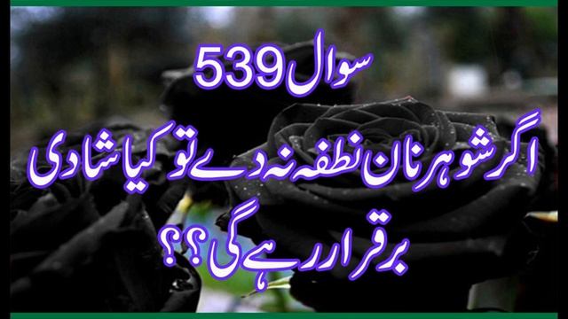 539 Agar Shuhaur Nan Nutfa na De Tw Kia Shadi BarQarar Rahe Gi,Allama Syed shah Turab ul haq qadri смотреть онлайн