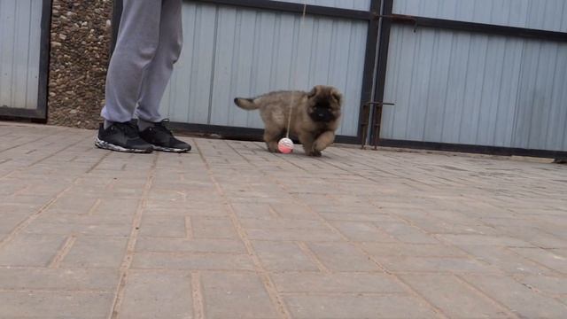 00000 смотреть онлайн