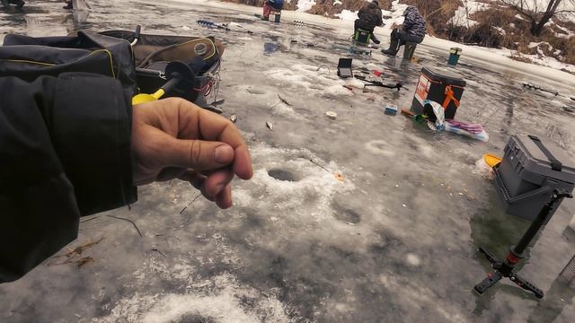 Жидкая прикормка и шитик, тянут рыбу как магнит смотреть онлайн