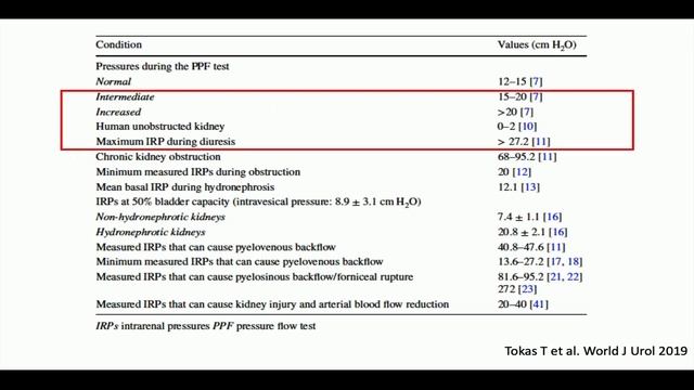 Urosepsis After URS and the Importance of Intrarenal Pressure смотреть онлайн