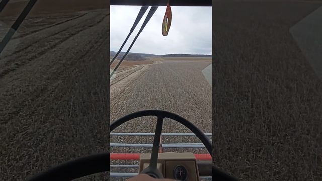 Збирання сої 06.03.2023, Massey Ferguson 29 XP смотреть онлайн