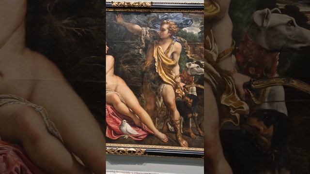 Venus and Adonis by Carracci and by Veronese, 1590 and 1580. Recorded on February 28, 2024 смотреть онлайн