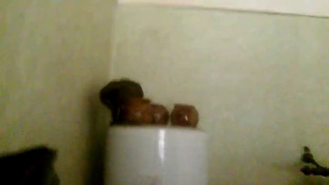 кот покорил космос смотреть онлайн