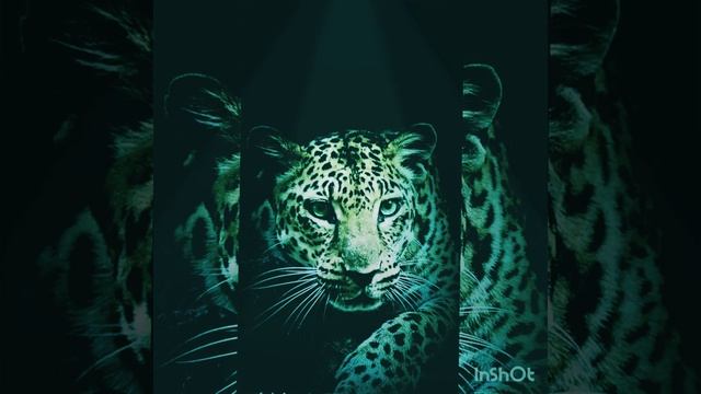 EXCE$$-иди ко мне(Remix) смотреть онлайн