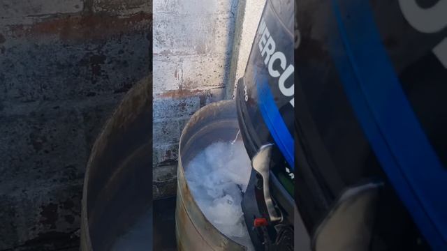 Mercury Sea Pro 25 Hp 2t Japon