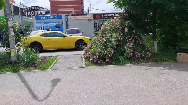 95. Переезд в Россию ПРИЕХАЛИ ДОМОЙ. ПЛАНЫ РУХНУЛИ. ОЧЕНЬ НУЖЕН КРЕДИТ . смотреть онлайн