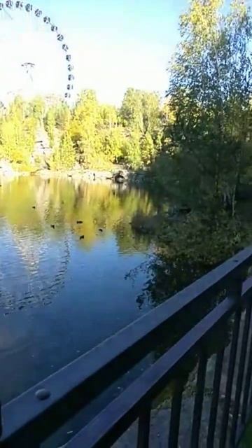 23.09.23. в день Осеннего Равноденствия в парке ТРЦ Радуга-Парк