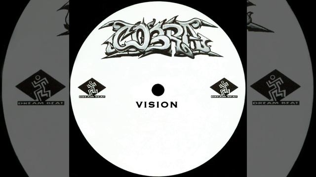 Vision