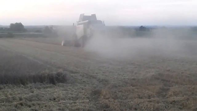 Claas Lexion 460 threshing Wheat Καστανιές Έβρου 13.6.2018 смотреть онлайн