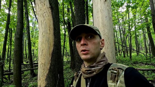 Путешествие в Самарскую Луку: Ширяевская долина, горы, перевалы, поля, луга, овраги и  пещеры