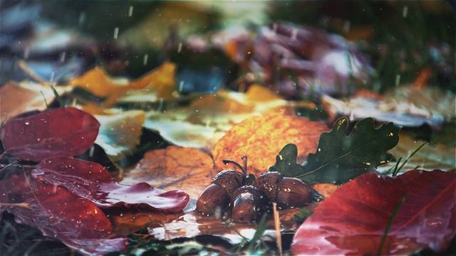 Autumn tv spot 2 for Public tv of Armenia смотреть онлайн