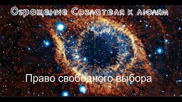 Право свободного выбора