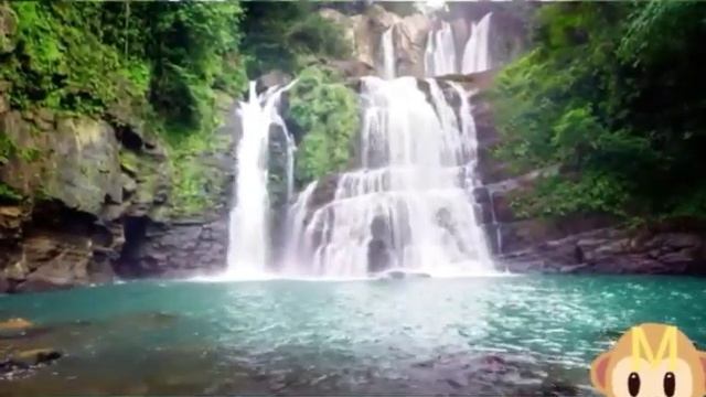 #Матиа#Базар НАШИ СОСЕДИ НА ПЛАНЕТЕ 🌐