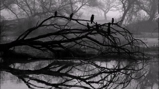 Музыка в машинуМузыка дворовМузыка для реальных пацановМузыка