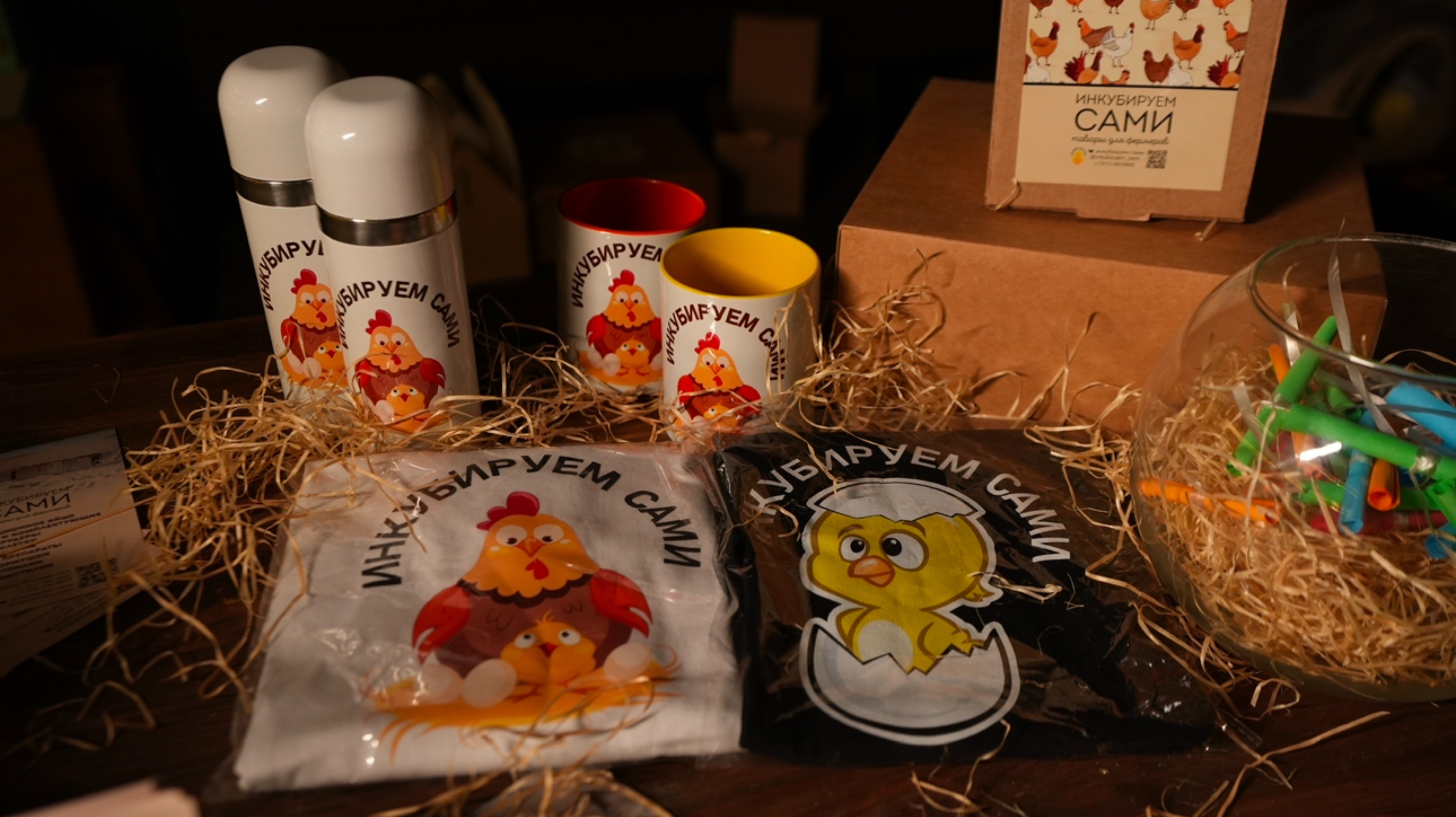 5 ноября 2024 г. смотреть онлайн