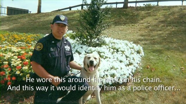 The Stories They Tell- PAPD K-9 Sirius смотреть онлайн