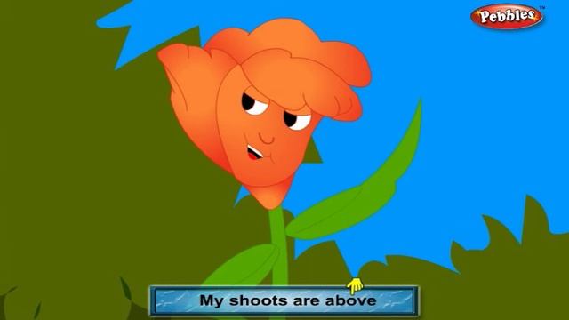 Canna Rhyme | Flower Rhymes for Children | Nursery Rhymes for Kids | Most Popular Rhymes HD смотреть онлайн