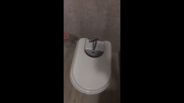 Cat is taking bath (Кіт Ліса миється в біде) смотреть онлайн