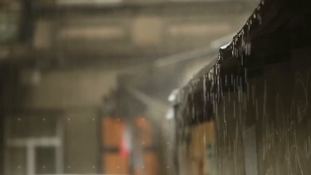 जानवरों के ऐसे कारनामे जिन्हें देखकर कर 😂😜.....Funny Animals Video 2022(Part-10) смотреть онлайн