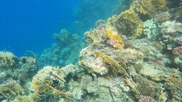 RADISSON INDIVIDUALS 4K PORT GHALIB 2023 MARSA ALAM