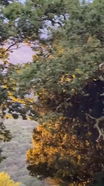 AUTUMNALEQUINOX/THE LAST DAY OF SUMMER THE BEGINNING OF AUTUMN 2021 смотреть онлайн