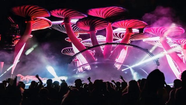 Melodic Progressive House | House Dance Mix, Deep House Mix #futurerave #melodicdeep смотреть онлайн