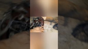 юмз  модернизация сцепления  зил на юмз