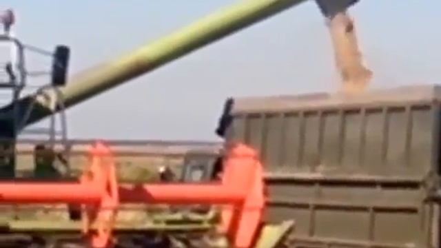 МТС Кубань уборка риса Harvester Claas mega 360 смотреть онлайн