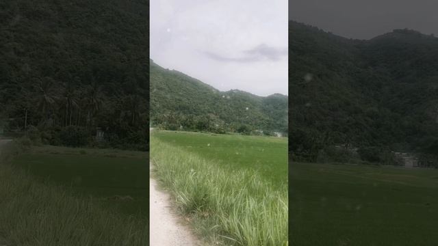 ЕСЛИ ЖИЗНЬ ШТОРМИТ? #буря#тревога#изменения#расширение