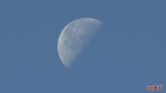 The Moon On May 31 2013 смотреть онлайн