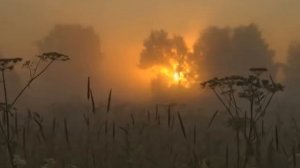 Я ты он она - Непоседы