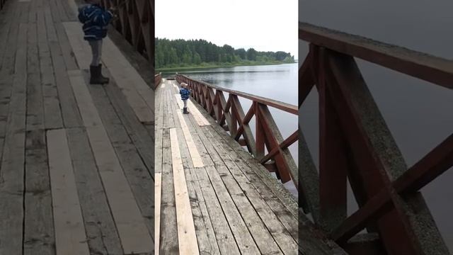 Внук ихтиолога в 4 года поймал две щуки за пол часа, подрастает достойное поколение! смотреть онлайн