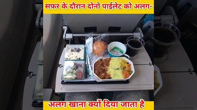 why pilot and copilot different food pilot aur copilot दोनों को अलग अलग bhojan kyon #short #facts смотреть онлайн