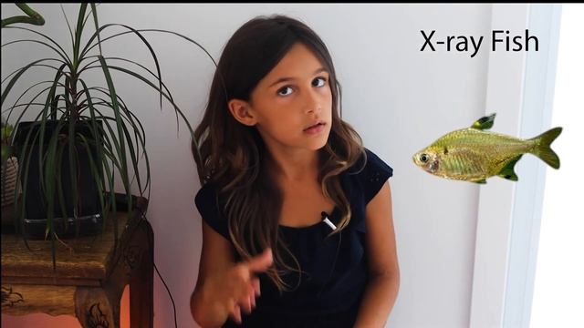 English Lessons for Kids With Teacher Loulou, Letter X, Beginner Level смотреть онлайн