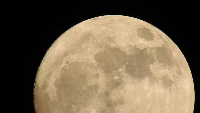 Full Moon Rising смотреть онлайн