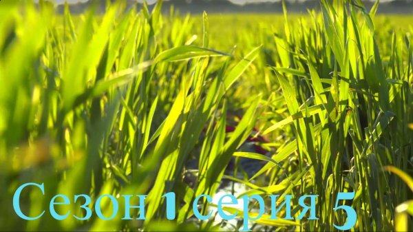 Воскрешение / Resurrection Сезон 1 серия 5