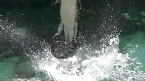 Лучшее видео Slow motion по версии Kometa.Red