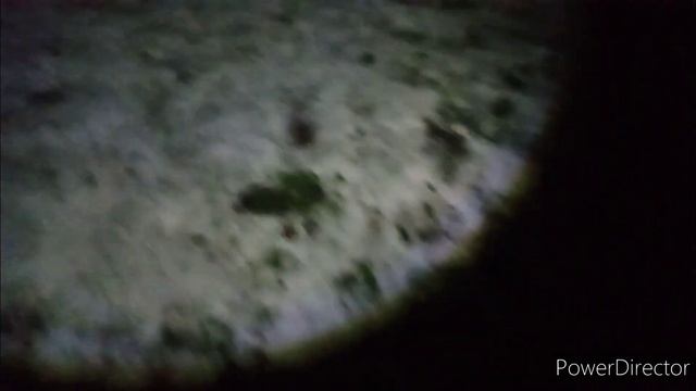 Test Rakiet Thunder PXR224