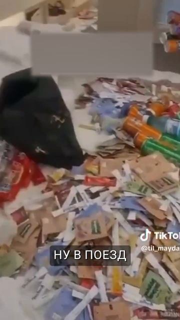 Российские туристы набрали со шведского стола продуктов на 35 кг смотреть онлайн