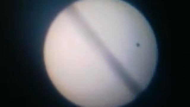 Venus transit 1.3gp смотреть онлайн