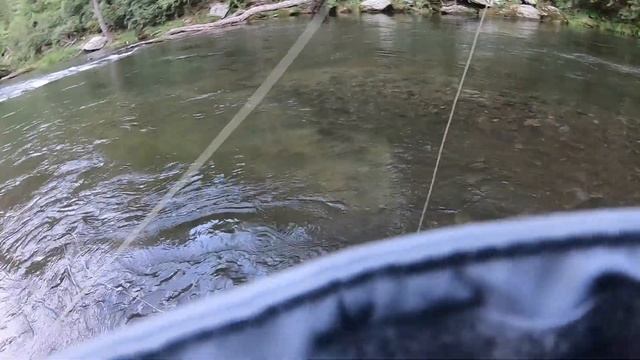 Wild Browns & an Angry Beaver: Gunpowder River смотреть онлайн