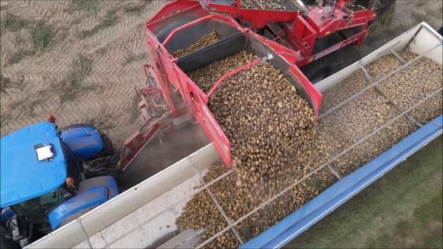 Kartoffelernte mit den Grimme SE 150-60 bei Goldenstedt. смотреть онлайн